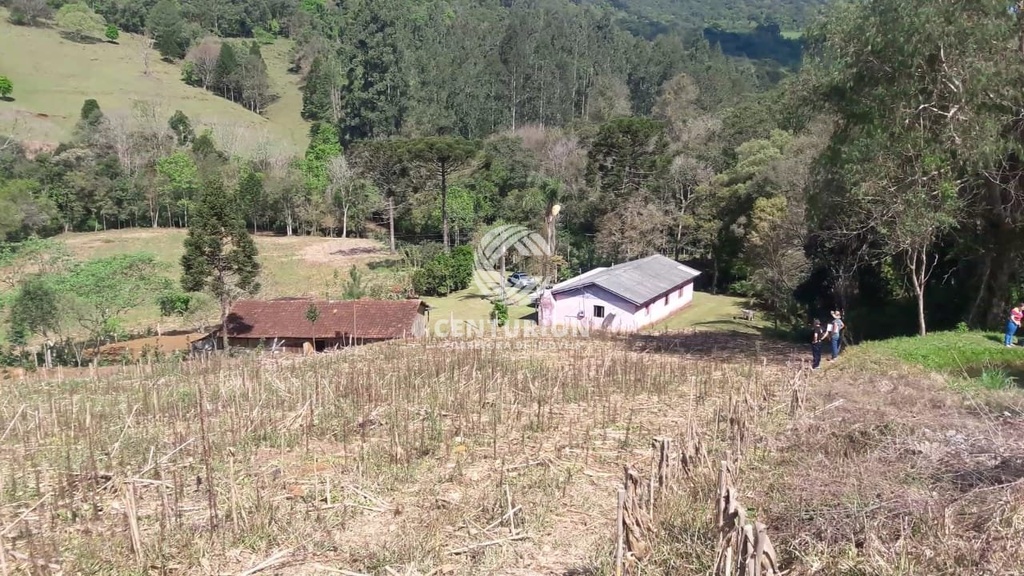 residential-/-land-lot-3-quartos-120000m2-distrito-de-nova-petropolis-joacaba-sc