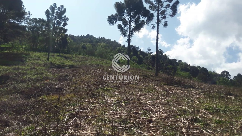 residential-/-land-lot-3-quartos-120000m2-distrito-de-nova-petropolis-joacaba-sc