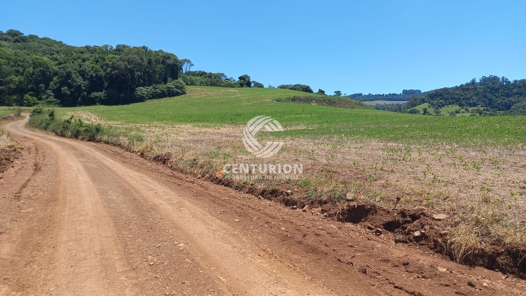 commercial-/-agricultural-barra-seca-concordia-sc