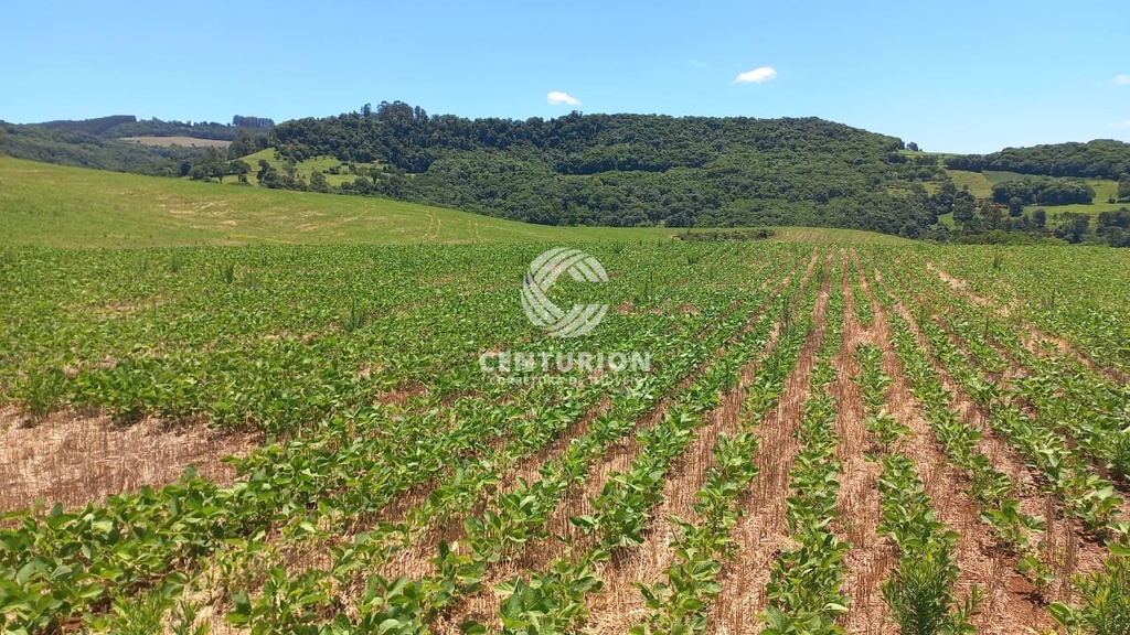 commercial-/-agricultural-barra-seca-concordia-sc