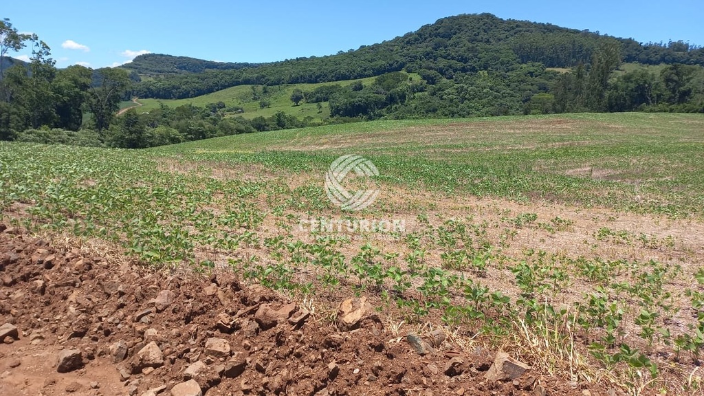 commercial-/-agricultural-barra-seca-concordia-sc