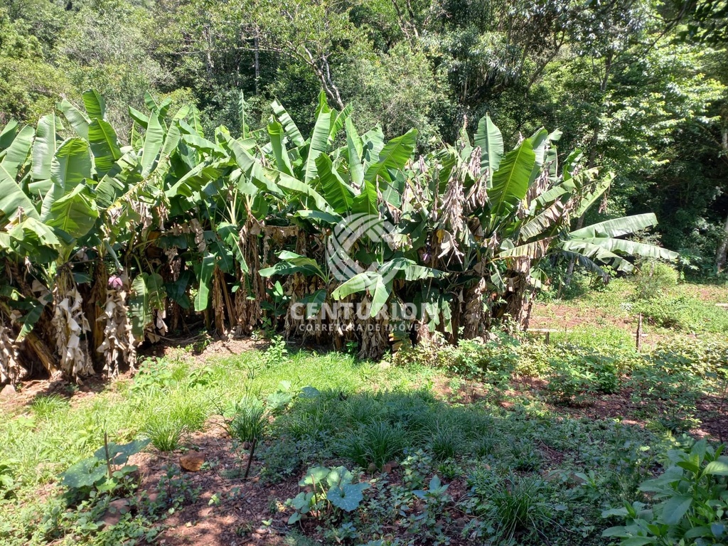 commercial-/-agricultural-3-quartos-80m2-santo-antonio-concordia-sc