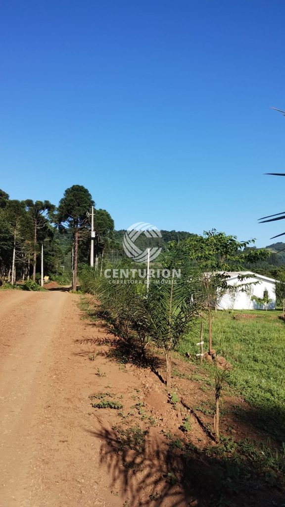 commercial-/-agricultural-3-quartos-99m2-interior-lindoia-do-sul-sc