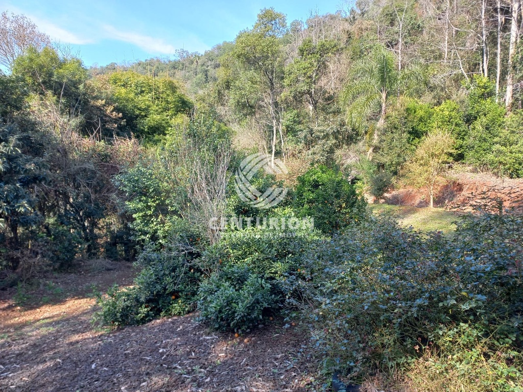 residential-/-farm-ranch-2-quartos-5000m2-interior-irani-sc
