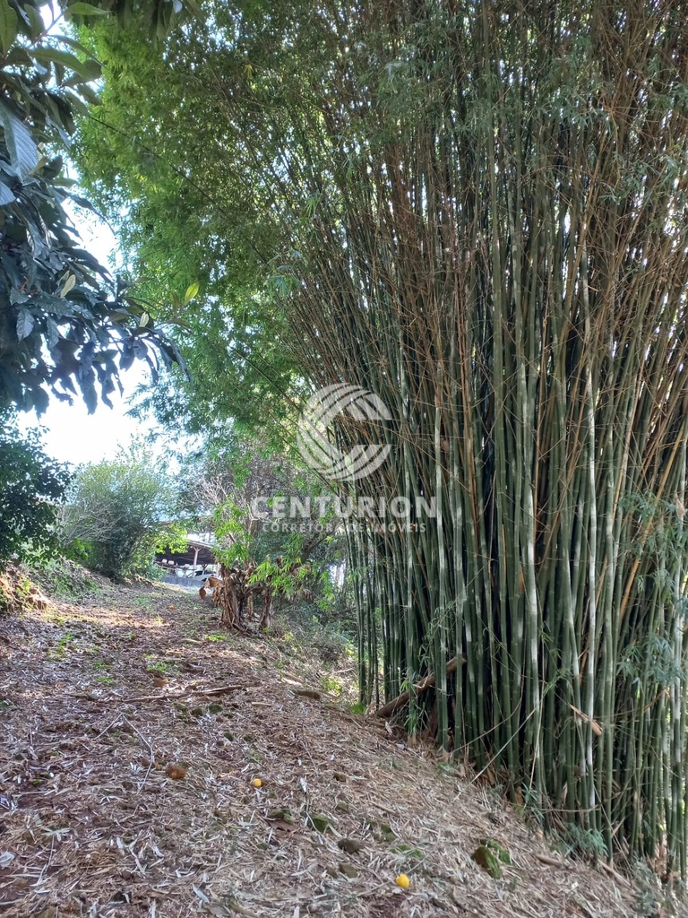 residential-/-farm-ranch-2-quartos-5000m2-interior-irani-sc