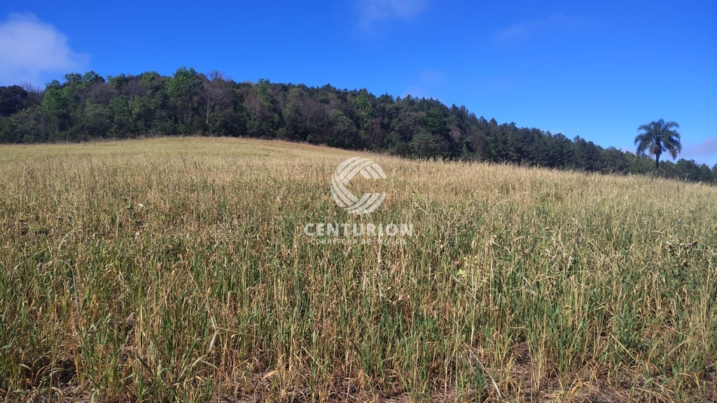 commercial-/-agricultural-3-quartos-interior-irani-sc