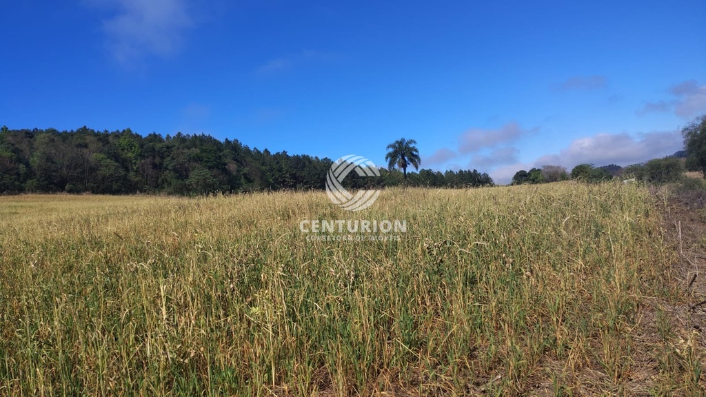 commercial-/-agricultural-3-quartos-interior-irani-sc