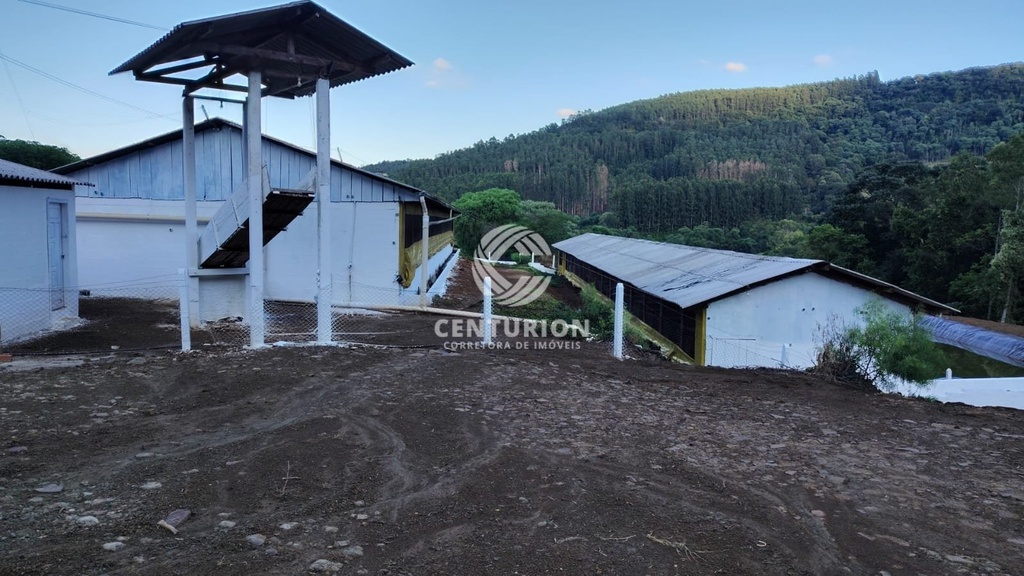 commercial-/-agricultural-3-quartos-interior-irani-sc