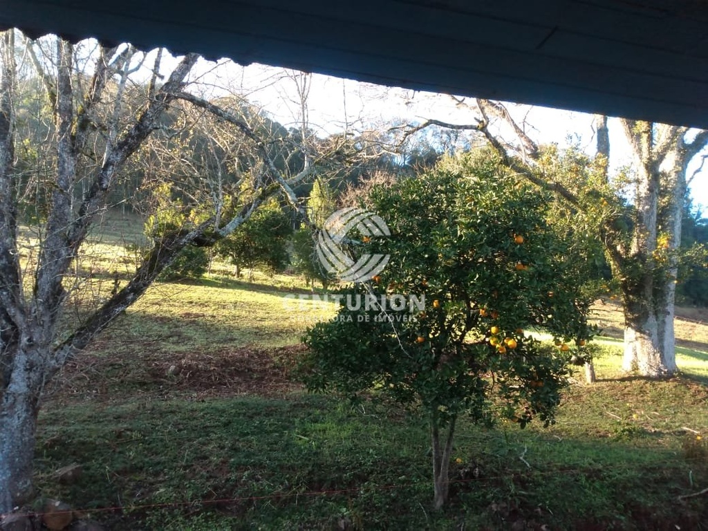 commercial-/-agricultural-interior-irani-sc
