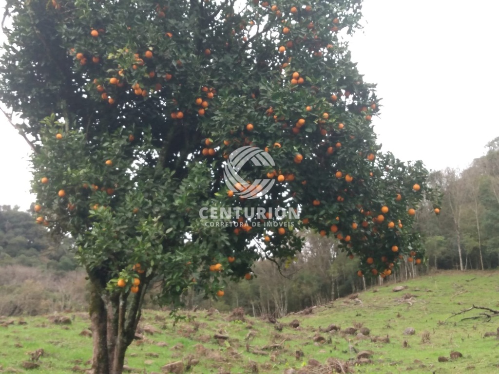 commercial-/-agricultural-interior-irani-sc