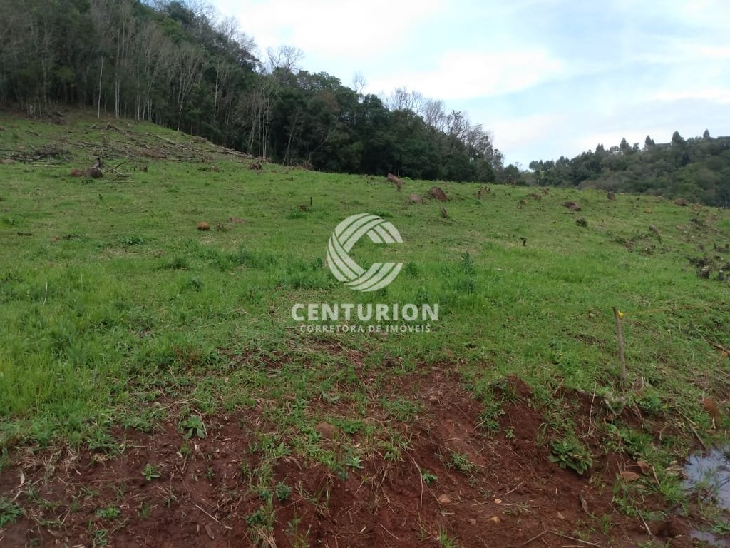 commercial-/-agricultural-interior-irani-sc