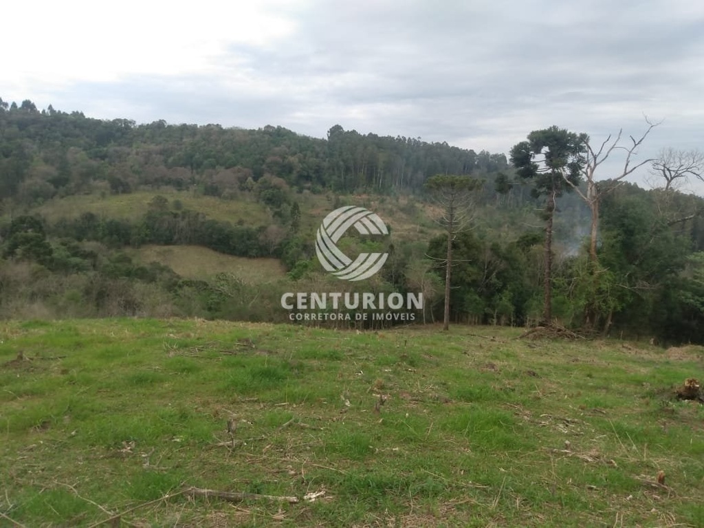 commercial-/-agricultural-interior-irani-sc