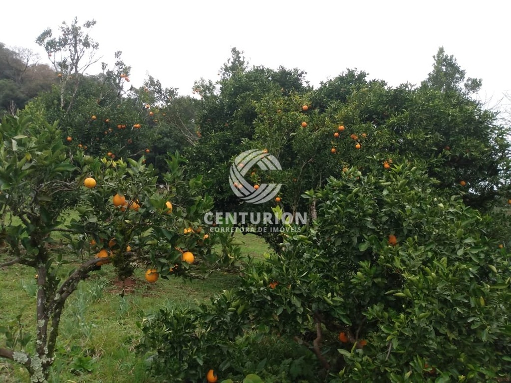 commercial-/-agricultural-interior-irani-sc