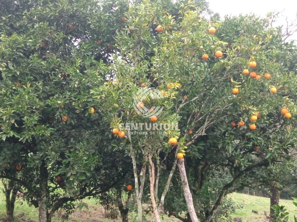 commercial-/-agricultural-interior-irani-sc