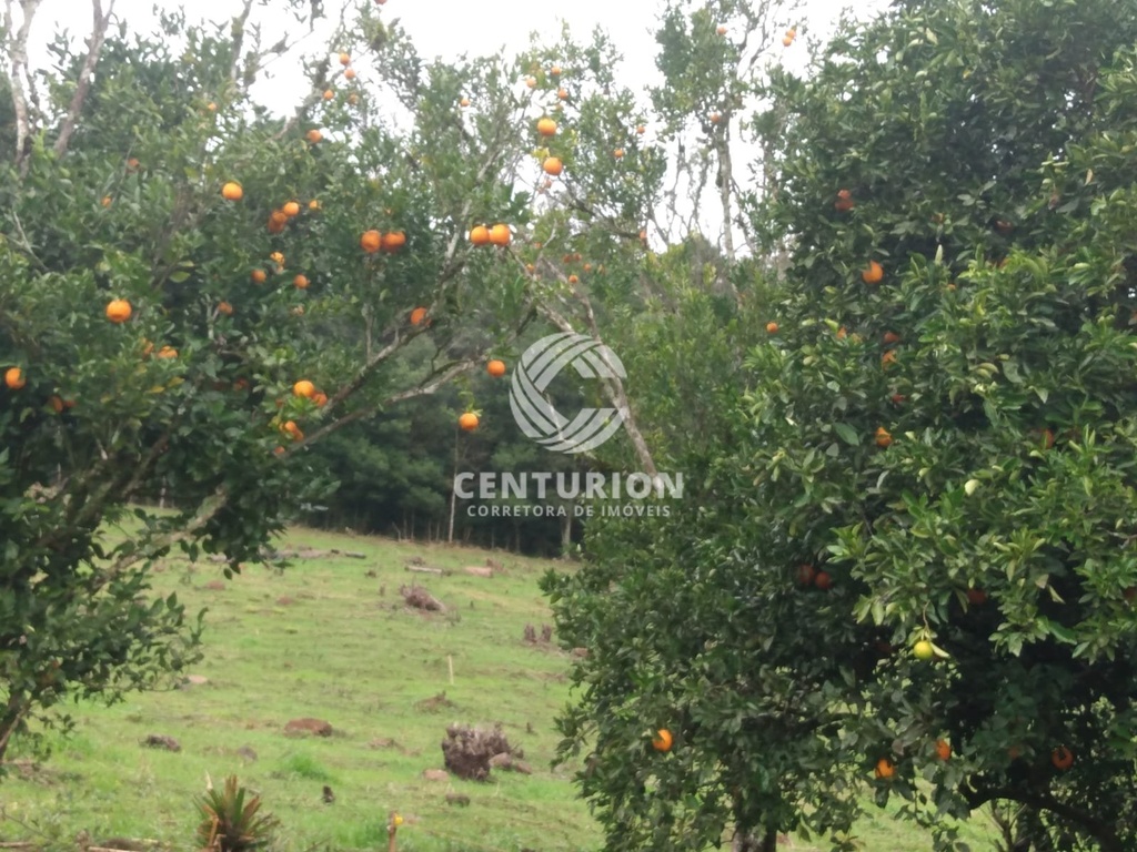 commercial-/-agricultural-interior-irani-sc