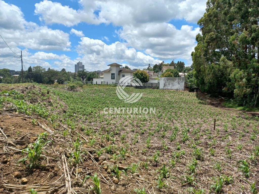 residential-/-land-lot-santo-marcon-irani-sc