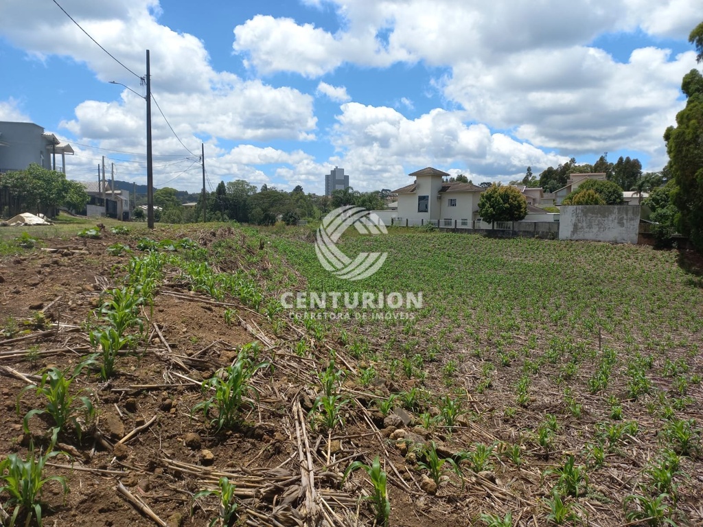 residential-/-land-lot-santo-marcon-irani-sc