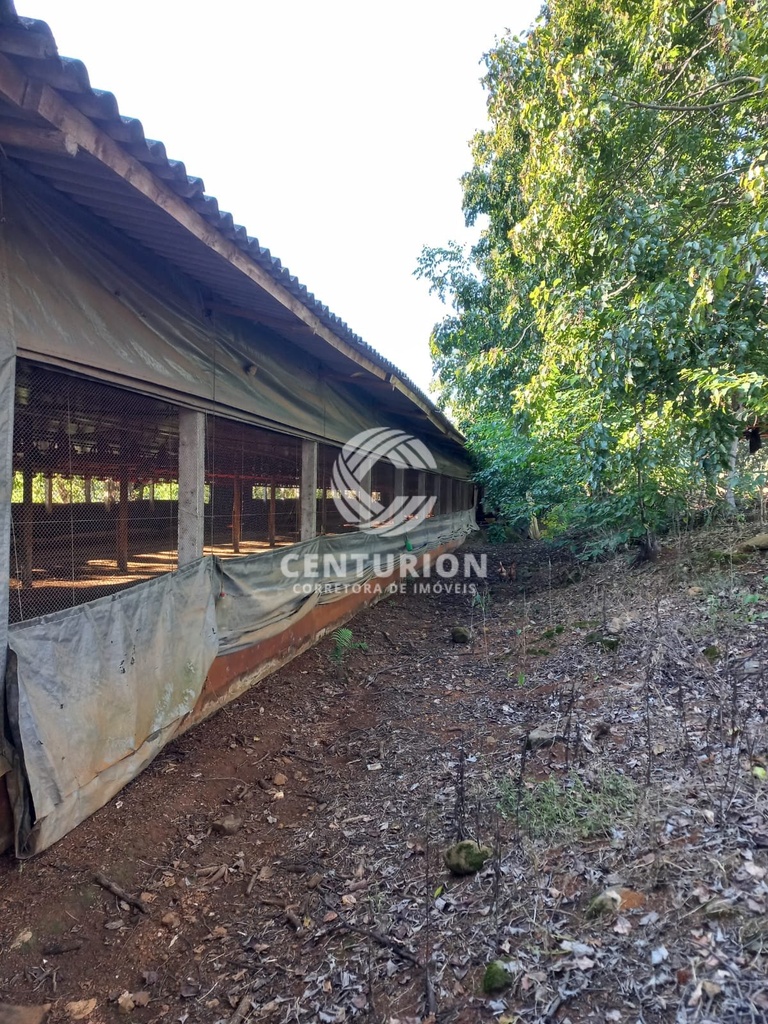 commercial-/-agricultural-3-quartos-interior-jabora-sc