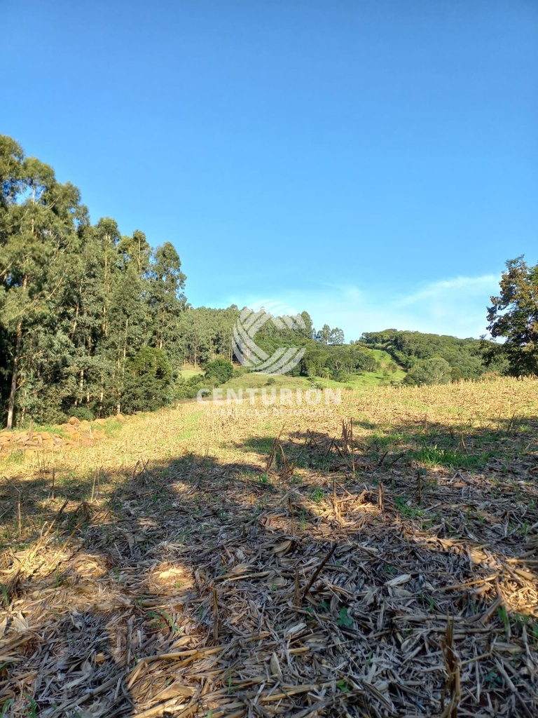 commercial-/-agricultural-3-quartos-interior-jabora-sc