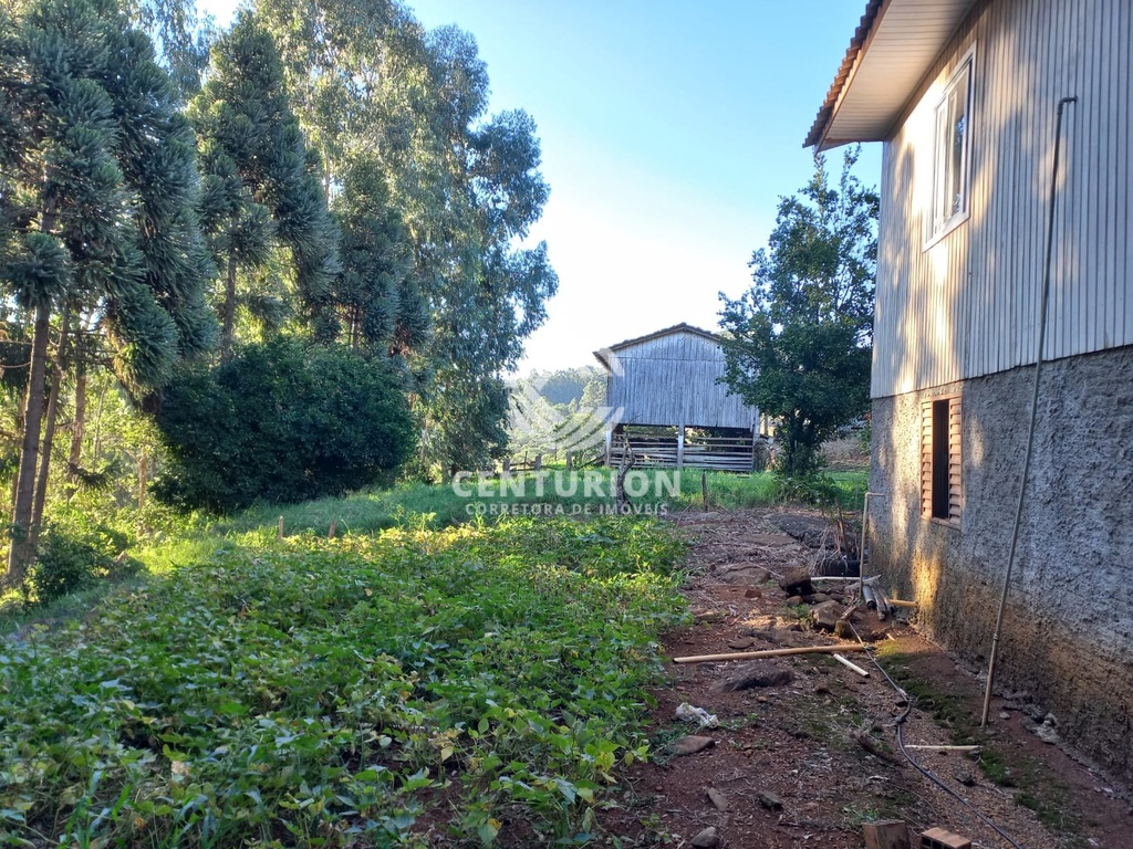 commercial-/-agricultural-3-quartos-interior-jabora-sc